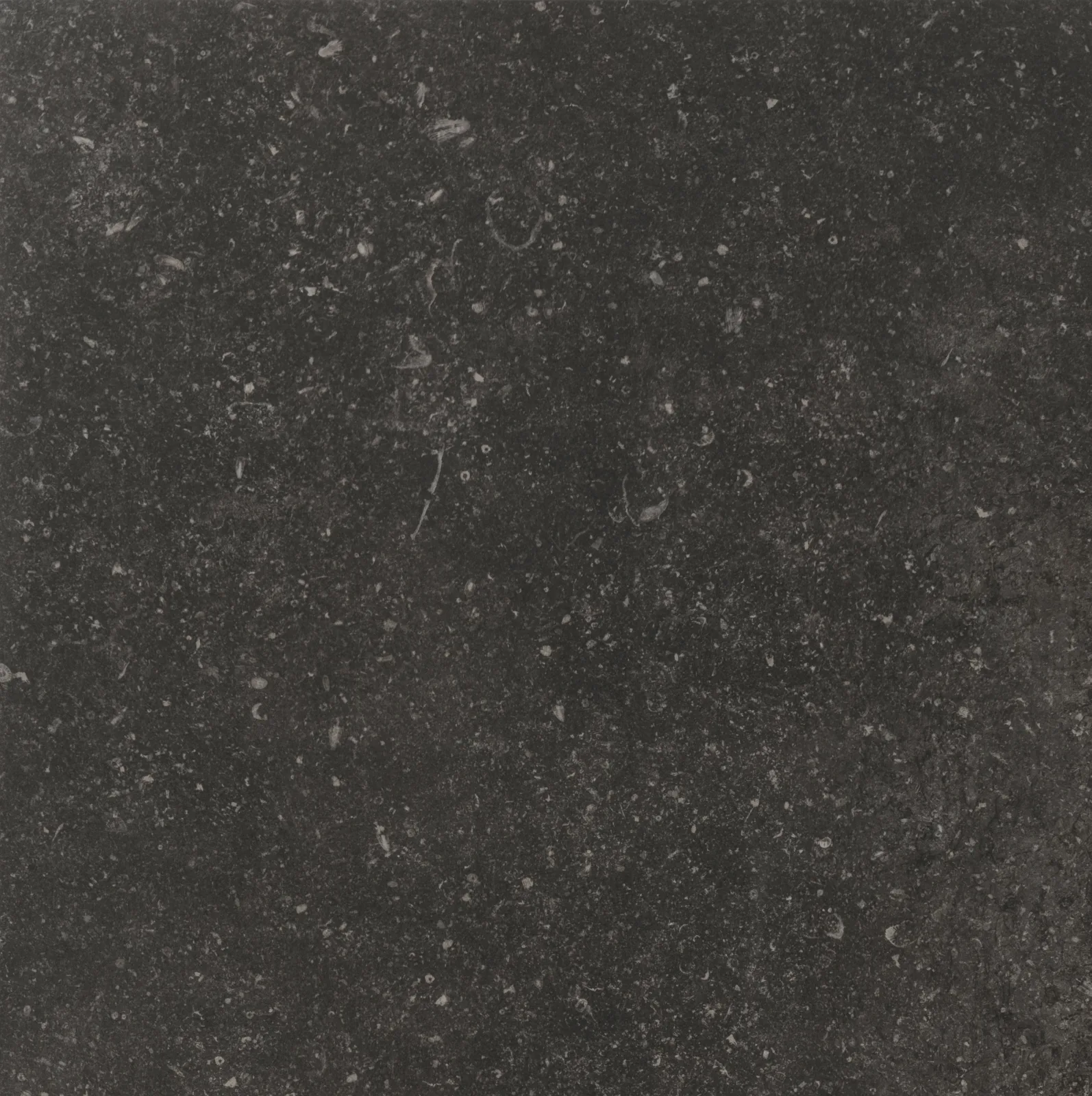 Florim Atmospheres Mystere Patine 60x60