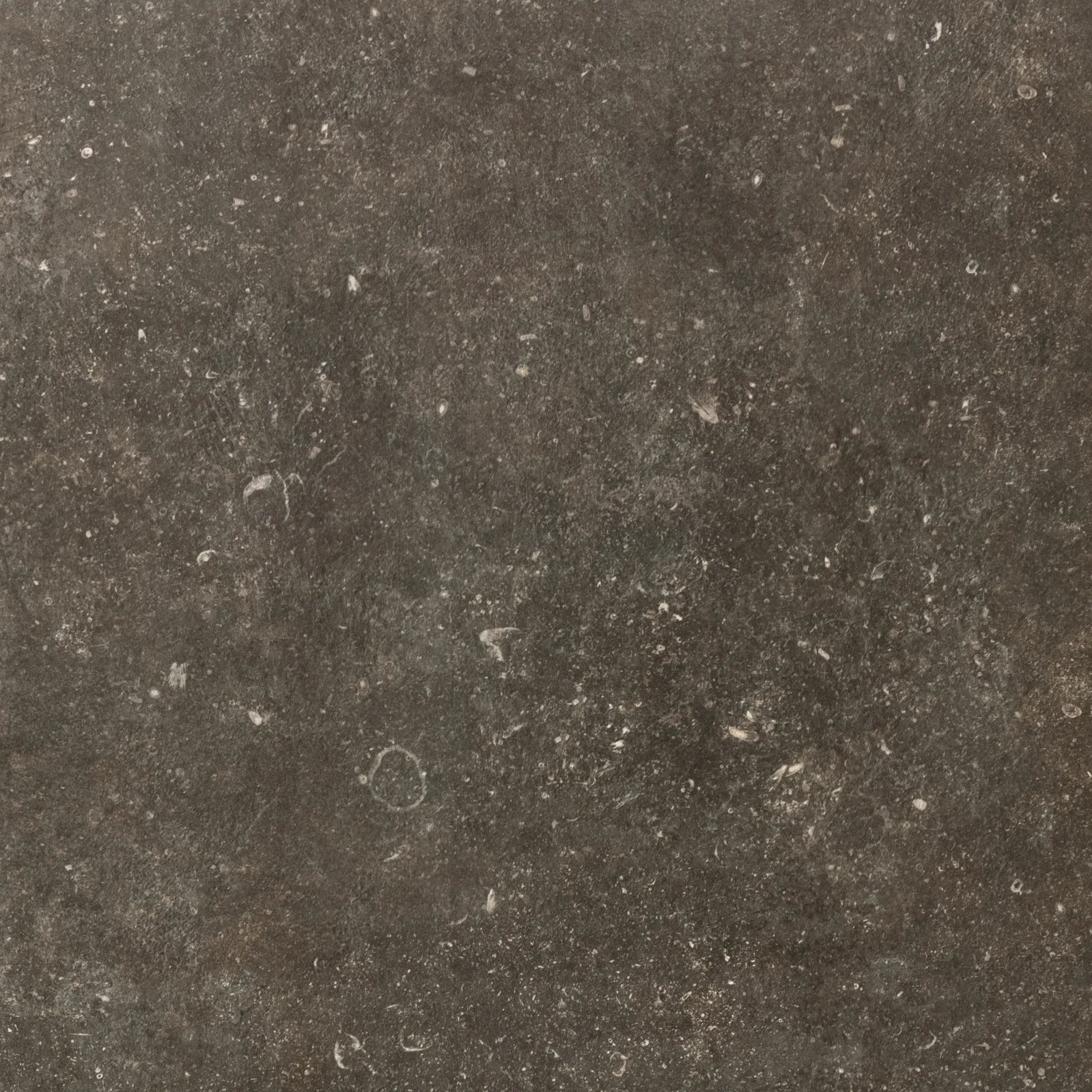 Florim Atmospheres Desir Sable 60x60