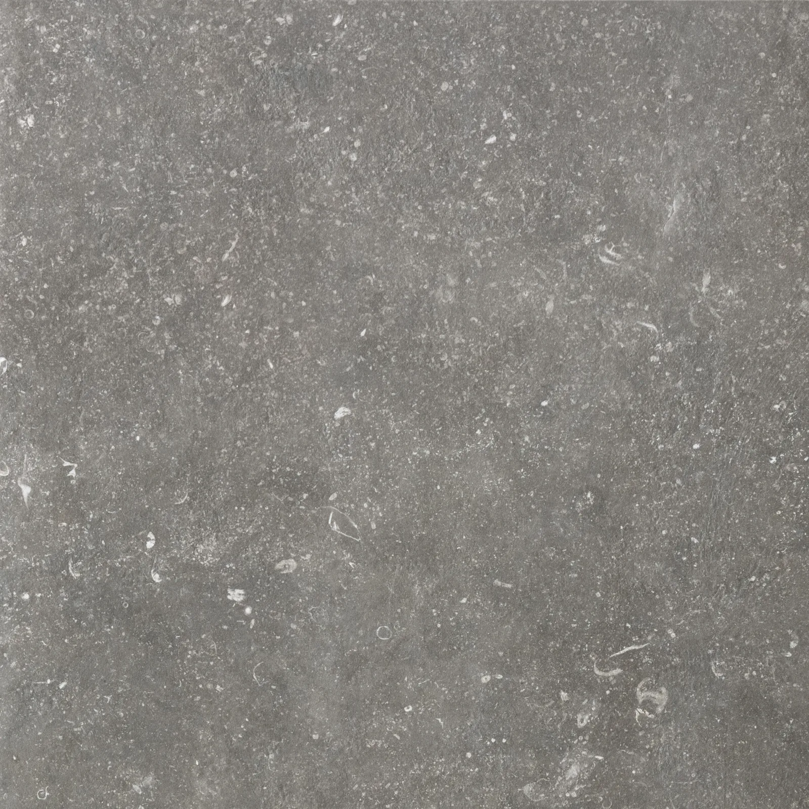 Florim Atmospheres Charme Sable 60x60