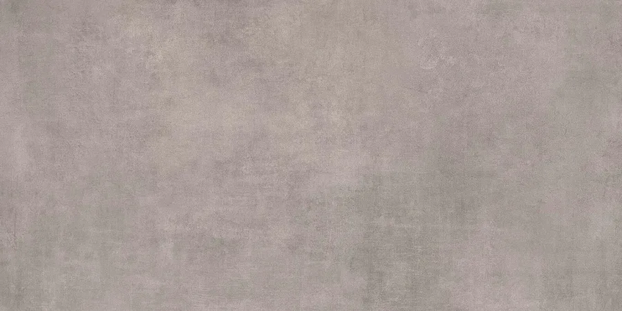 Sichenia Concrete Grijs mat 60x120 (92196315)