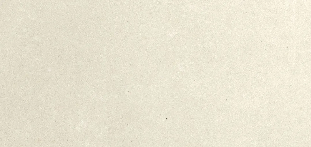 Pavigres Terra Air White Rec 29.7x59.7