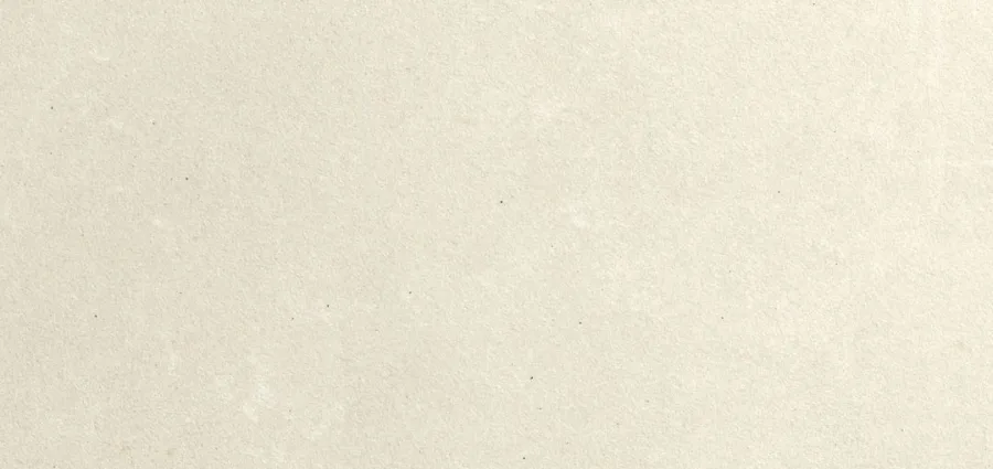 Pavigres Terra Air White Rec 29.7x59.7