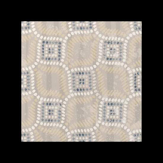 Fioranese Cementine Evo_3 20x20