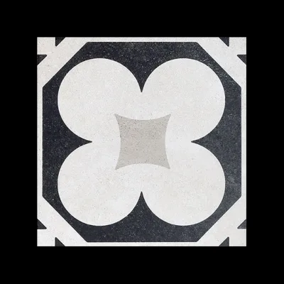 Fioranese Cementine B&W_4 20x20