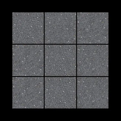 Fioranese Cementine Retro Nero 20x20