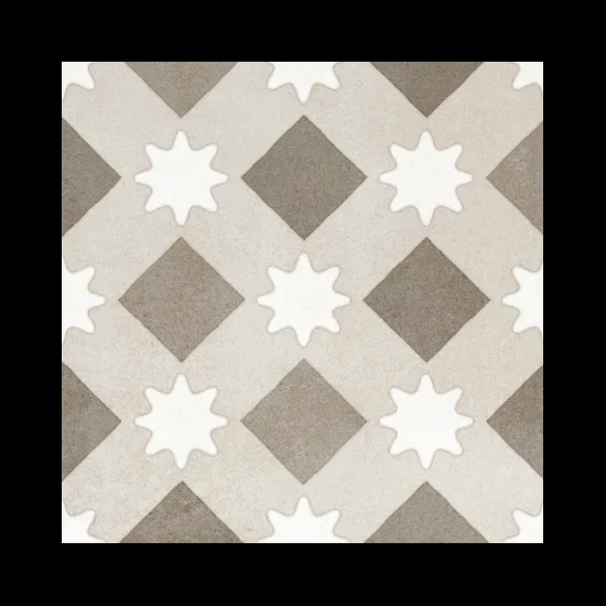 Fioranese Cementine Retro_5 20x20