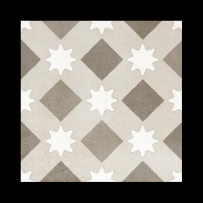 Fioranese Cementine Retro_5 20x20