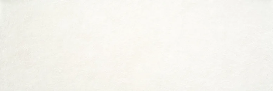 Durstone Indiga White 40x120