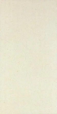 Saloni Nebula Blanco Mate 30x60