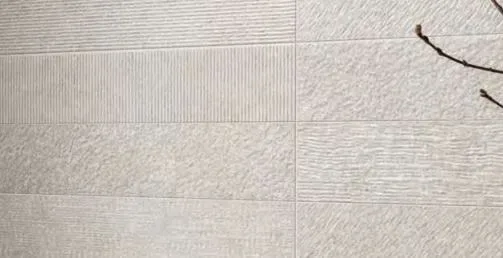 Edimax Astor Mytime Oyster Studio 10x60