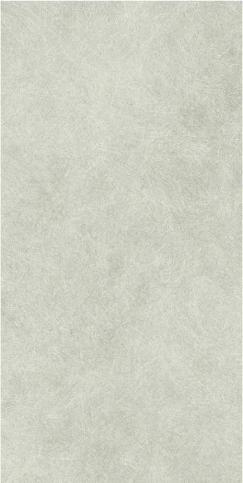 Revigres Reflex Silver 59.2x118.6
