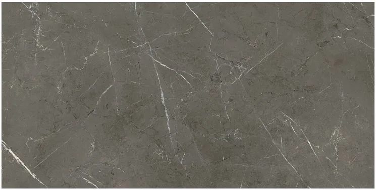 Ariana Nobile Grey Grafite Mat 60x120
