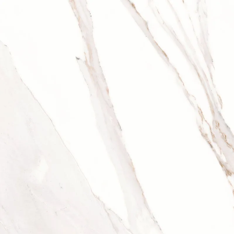 Caesar Anima Calacatta Oro Luc. . 60x60
