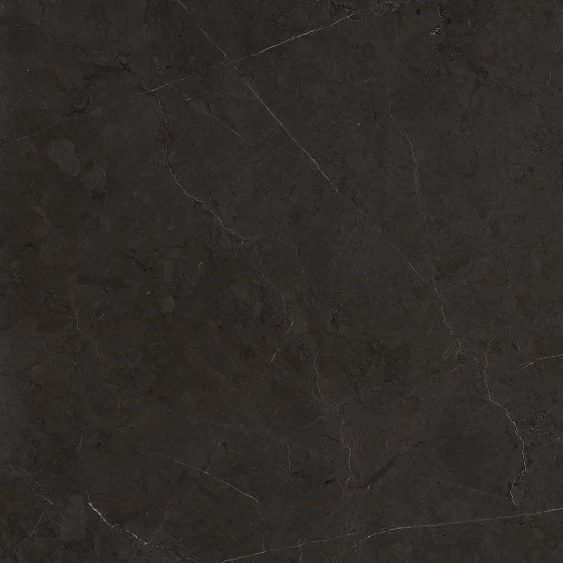 Caesar Anima Graphite Luc 60x120