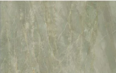 Caesar Anima Ever Sage Green Luc 119.5x278