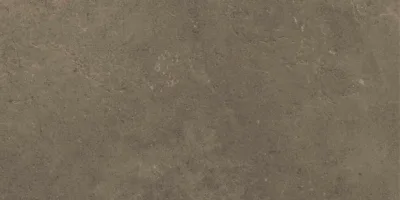 Grijs