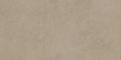 Wit