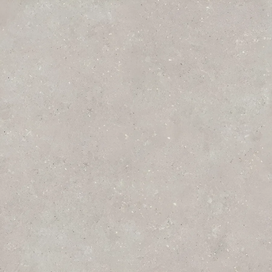 Del Conca Wild Grijs mat 60x60 (DLCHWD05R)