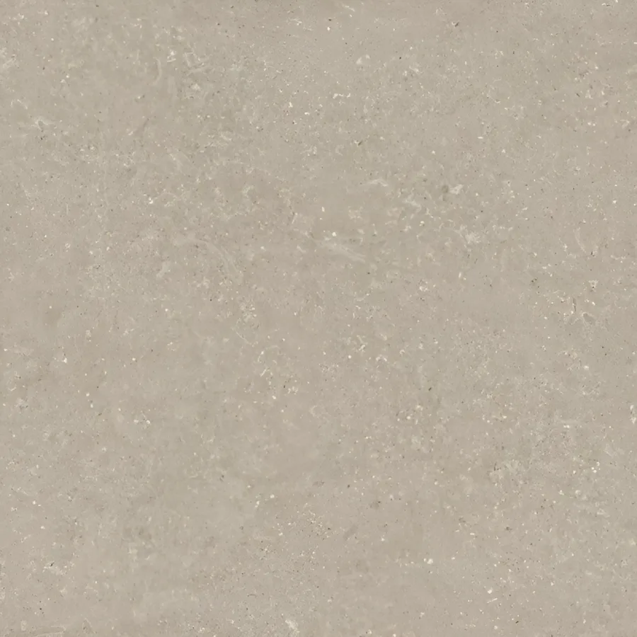 Del Conca Wild Grijs mat 60x60 (DLCHWD11R)