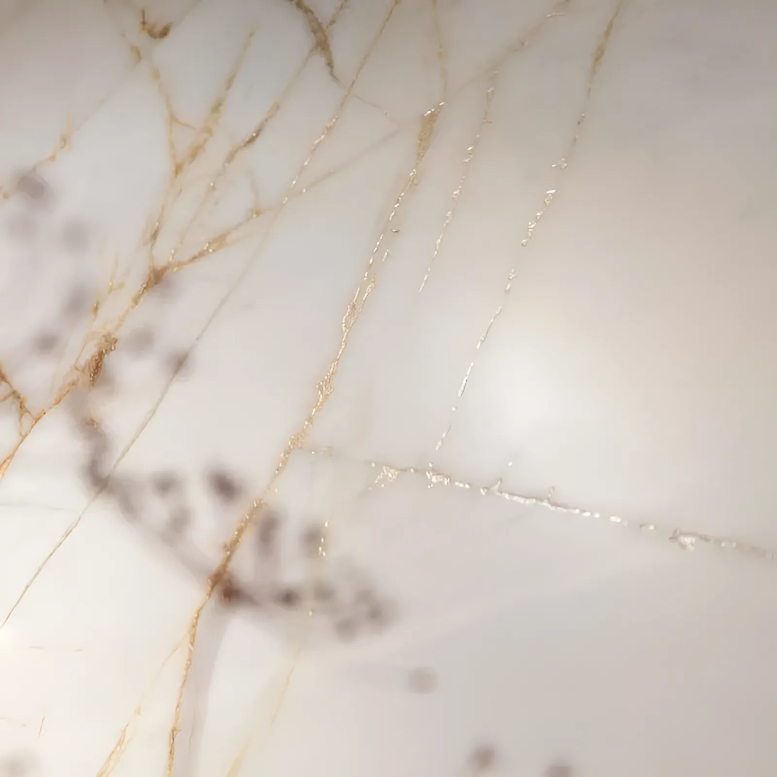 Flaviker Supreme Hedonism Goud glans 60x120