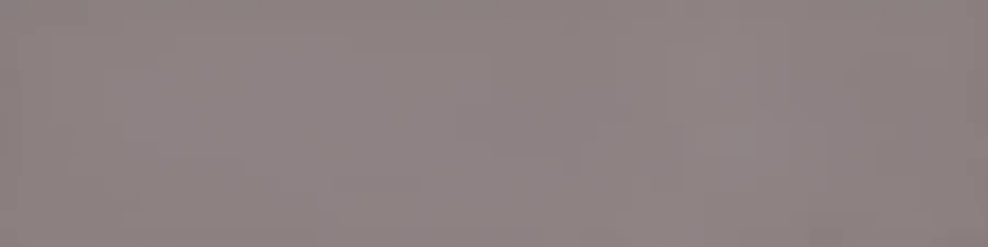Mosa Greys Grijs mat 15x60 (102261560)