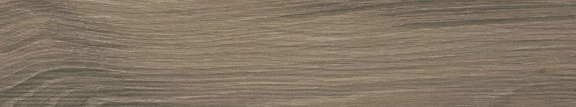 Gazzini Les Bois Bruin mat 20x120