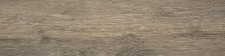 Gazzini Les Bois Bruin mat 30x120