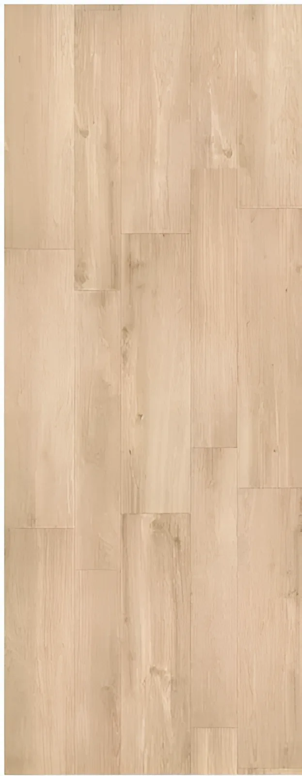 Gazzini Les Bois Beige mat 20x120