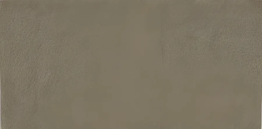 Gigacer Argilla Antraciet mat 60x120 (GIGARGDA6012RQ)