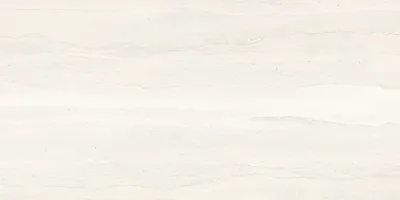 Wit