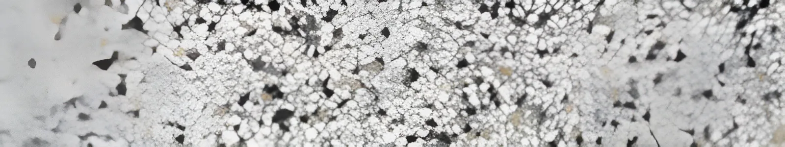 Grandeur Granito Multicolor mat 8x40