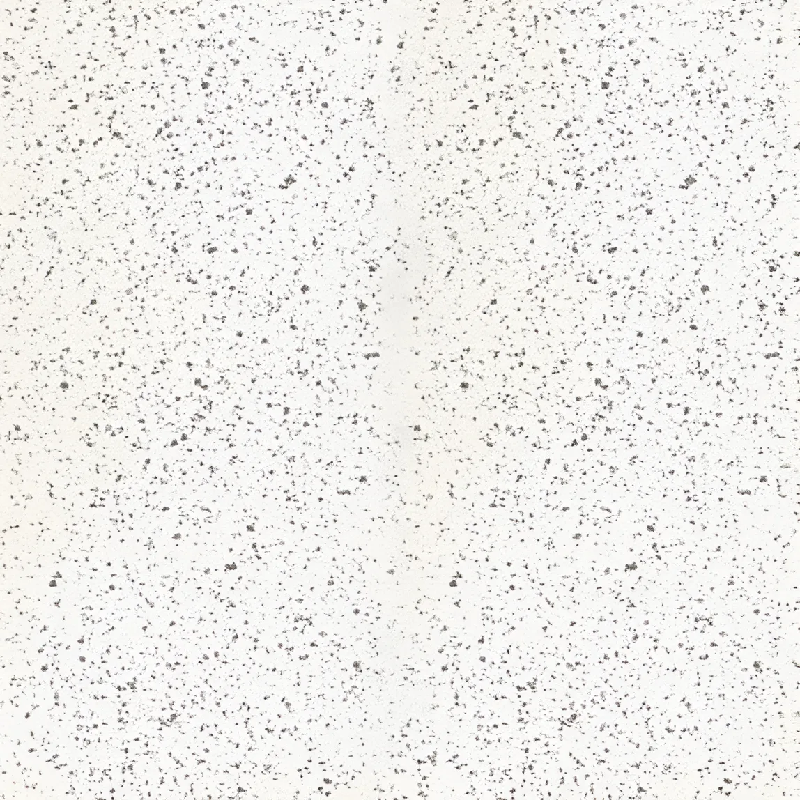Iris Rialto Wit mat 120x120