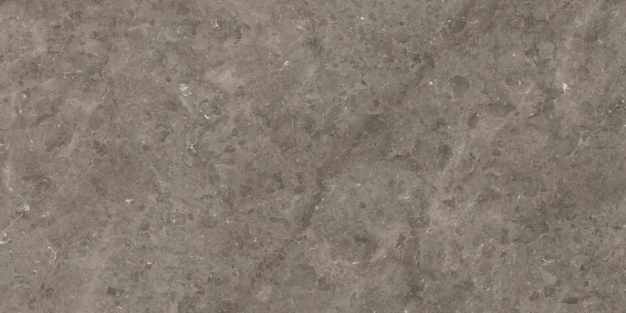 Marazzi italie Grandestonelook Grijs mat 160x320 (MRZM6YJ)