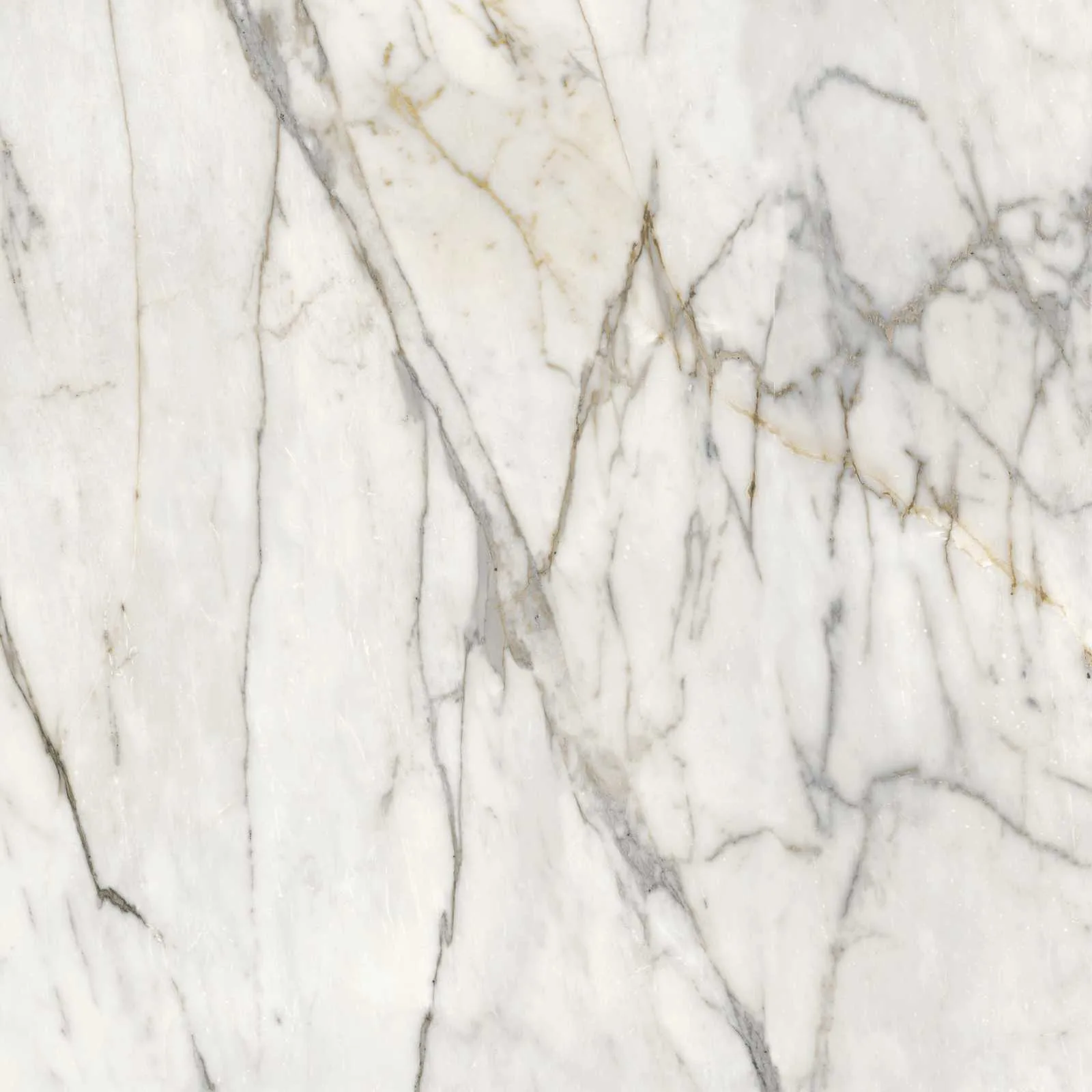 Marazzi italie Grandemarble Wit glans 120x120