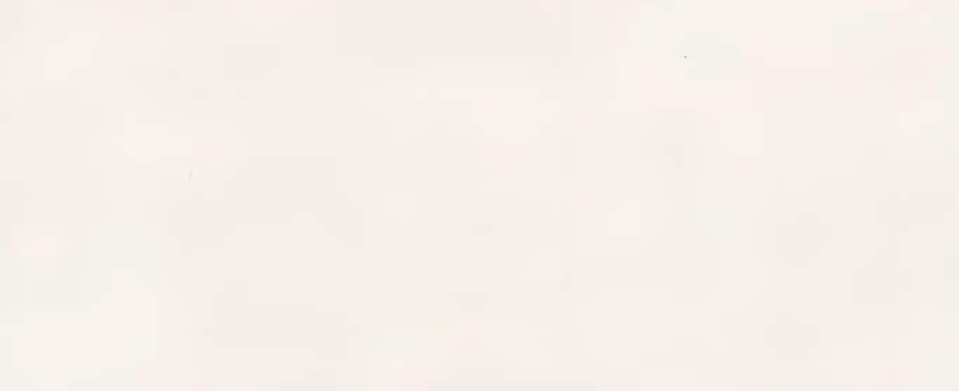 Marazzi italie Grandestonelook Wit mat 120x278