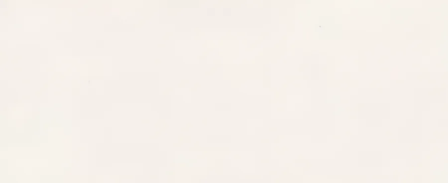 Marazzi italie Grandestonelook Wit mat 120x278