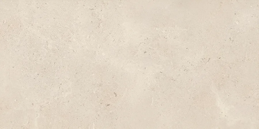 Panaria Surround Beige mat 60x120 (PNRSURSK6012R)