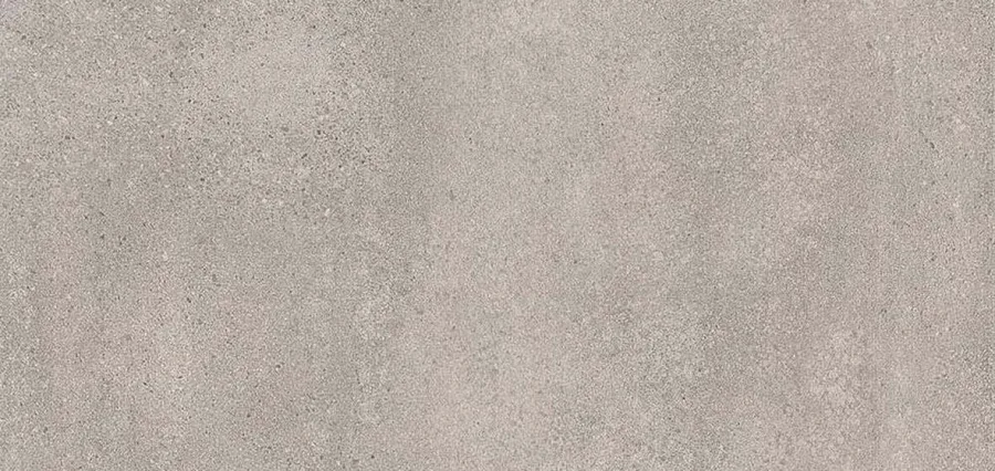 Rak Paleo Grijs mat 60x120 (RAKPALGR6012R)