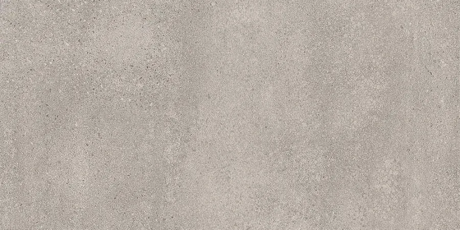 Rak Paleo Grijs mat 30x60 (RAKPALGRBR)