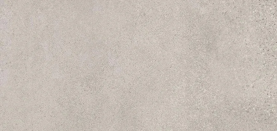 Rak Paleo Grijs mat 60x120 (RAKPALWG6012R)