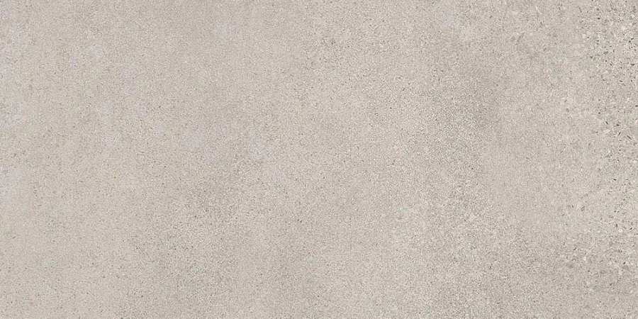 Rak Paleo Grijs mat 30x60 (RAKPALWGBR)
