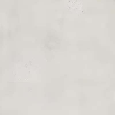Wit