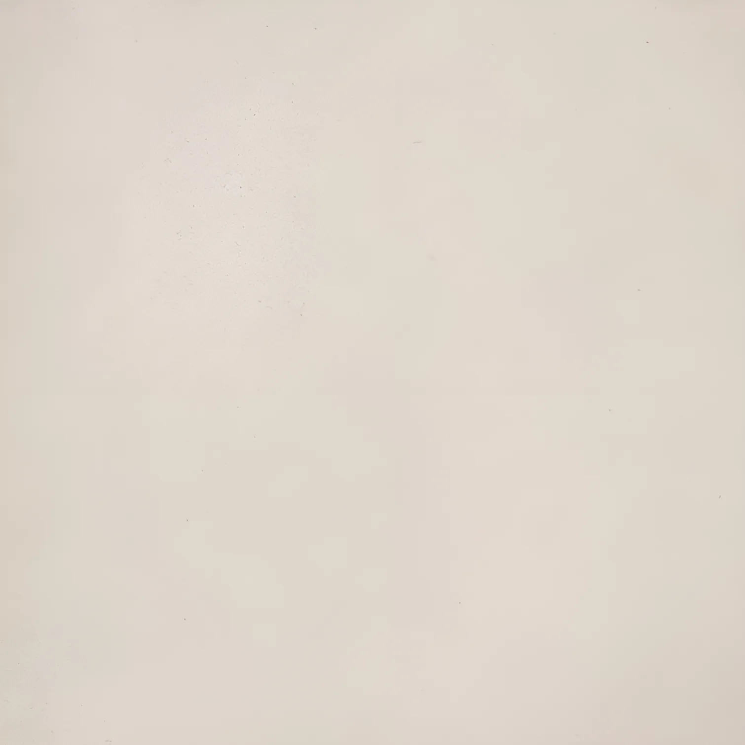 Rak Surface Beige mat 20x20