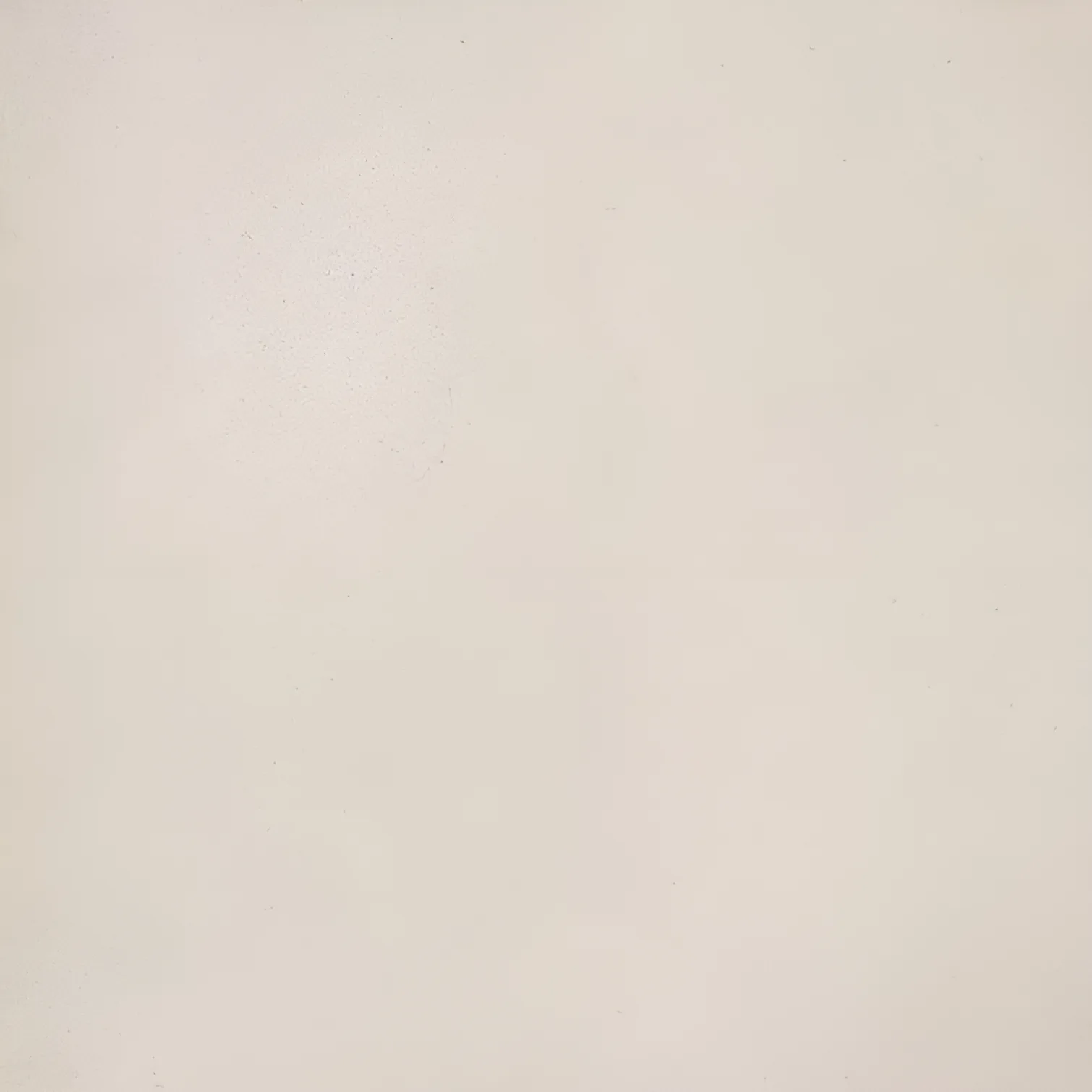 Rak Surface Beige mat 31x31