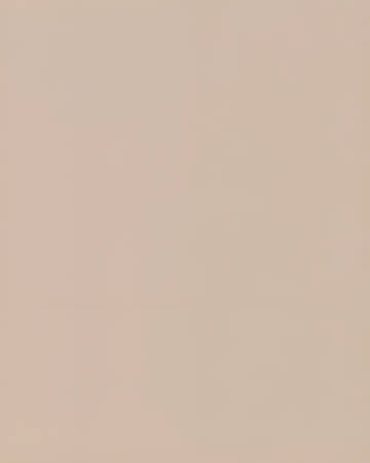 Mosa Holland2050 Beige glans 20x25