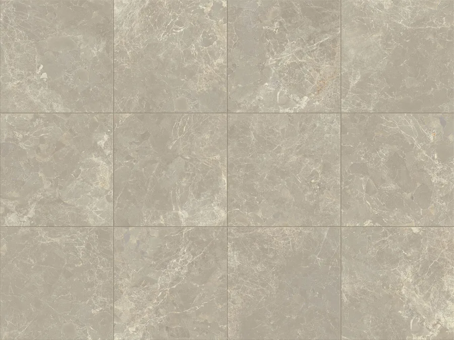 Verde Cosmopolitan Grijs mat 120x120 (VERCOSGH1212R)