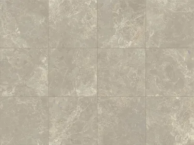 Verde Cosmopolitan Grijs mat 120x120