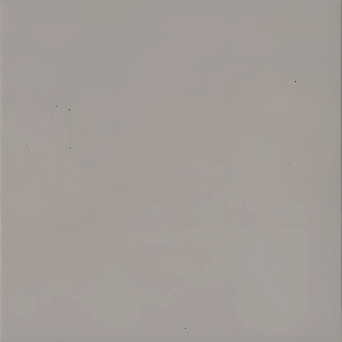 Vloertegel Rel.150X150 Muisgrijs 0,7 cm Mat R11