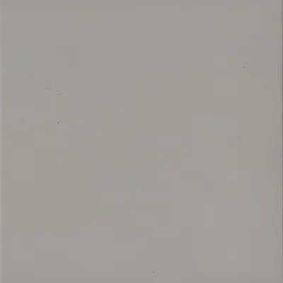 Vloertegel Rel.150X150 Muisgrijs 0,7 cm Mat R11